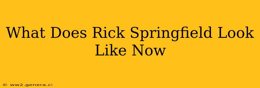 What Does Rick Springfield Look Like Now